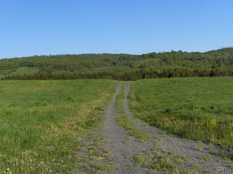 Lake Moraine Road, Madison, New York image 3