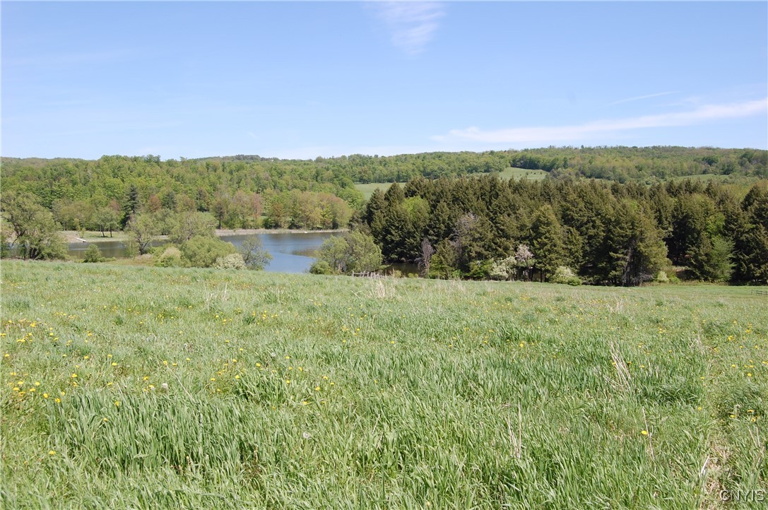 Lake Moraine Road, Madison, New York image 4