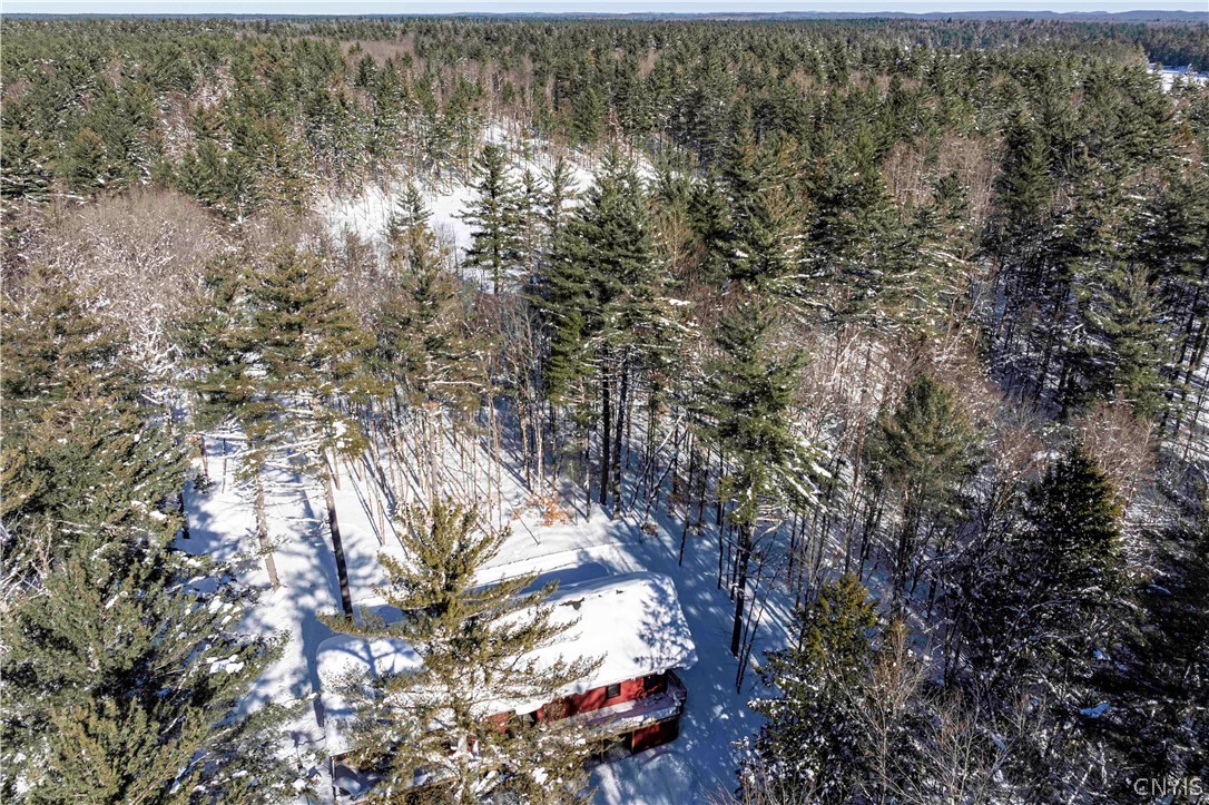 5512 Pine Wood Drive