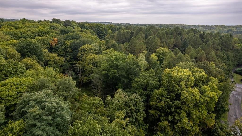 Photo of Appletree Ridge, Manlius, NY 13104 (MLS # S1694309)