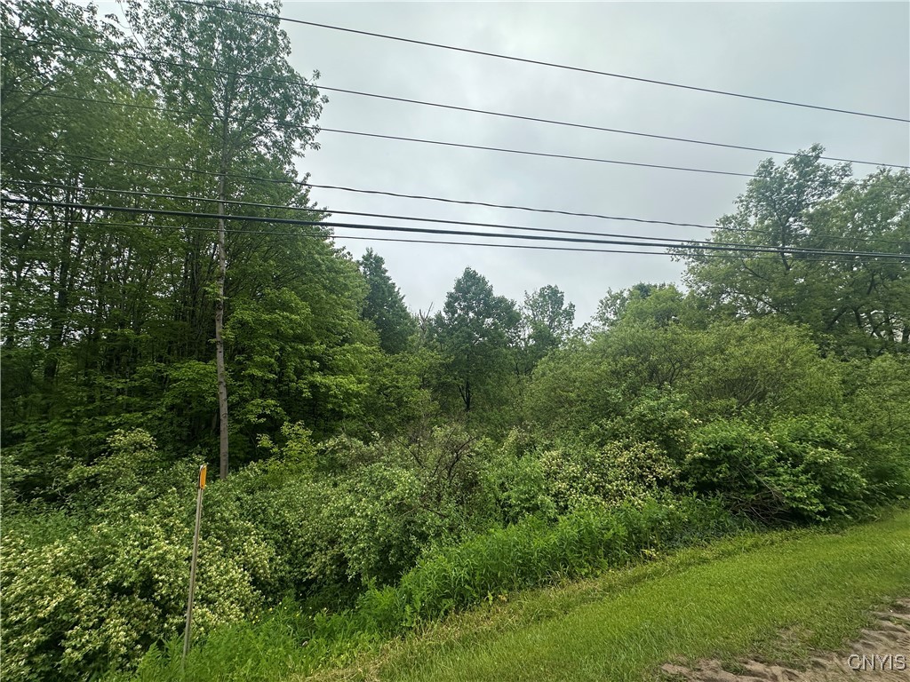 6590 Fox Road, Marcy, New York image 2