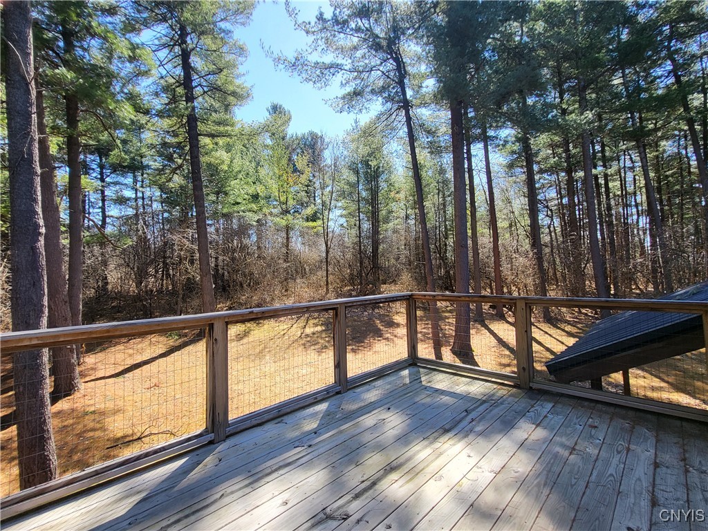 32702 Old Town Springs Road, Clayton, New York image 37