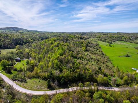 Lot 14.2 Newport Road Newport NY 13416