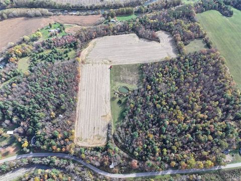 Vacant Land For Sale - White Creek Road<br/> Belfast, NY 14813