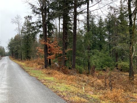 Vacant Land For Sale - 768 Center Street<br/> Oswego County, Constantia, NY 13042