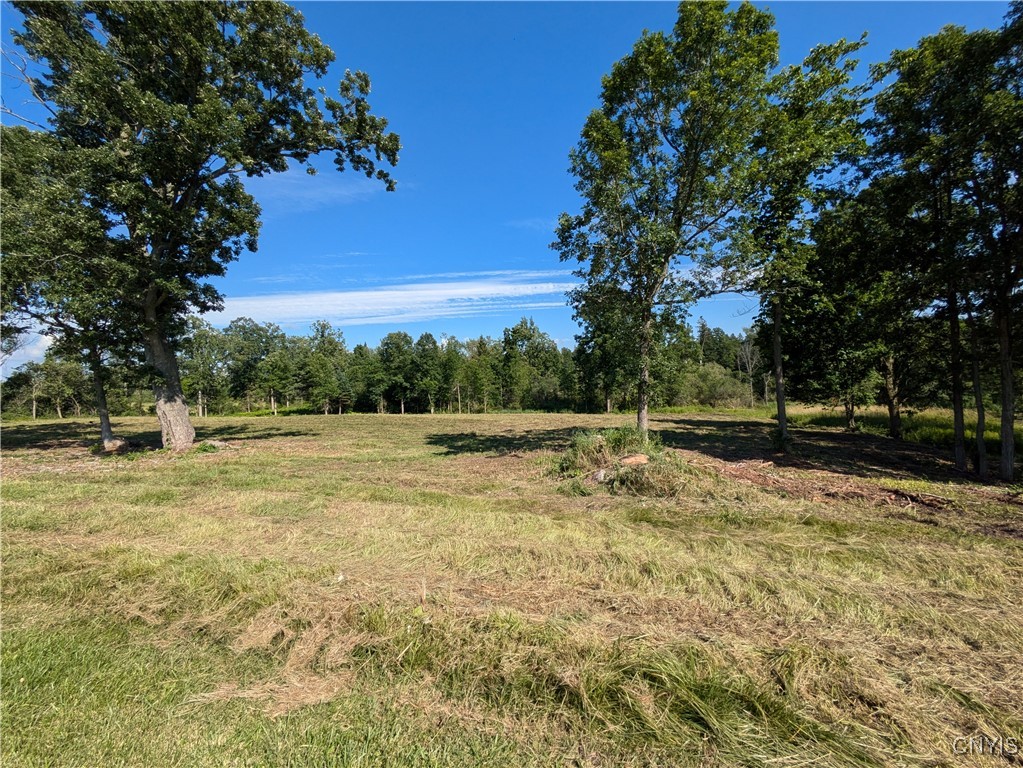 Lot #1 County Route 5, Clayton, New York image 3