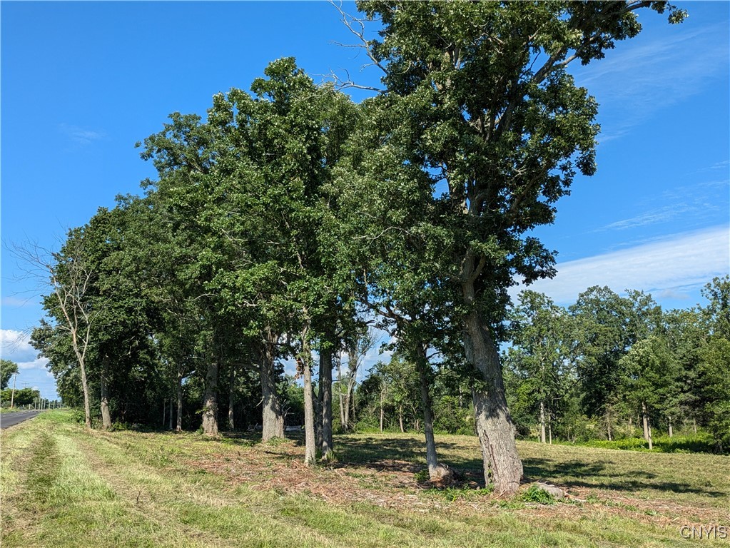 Lot #1 County Route 5, Clayton, New York image 1