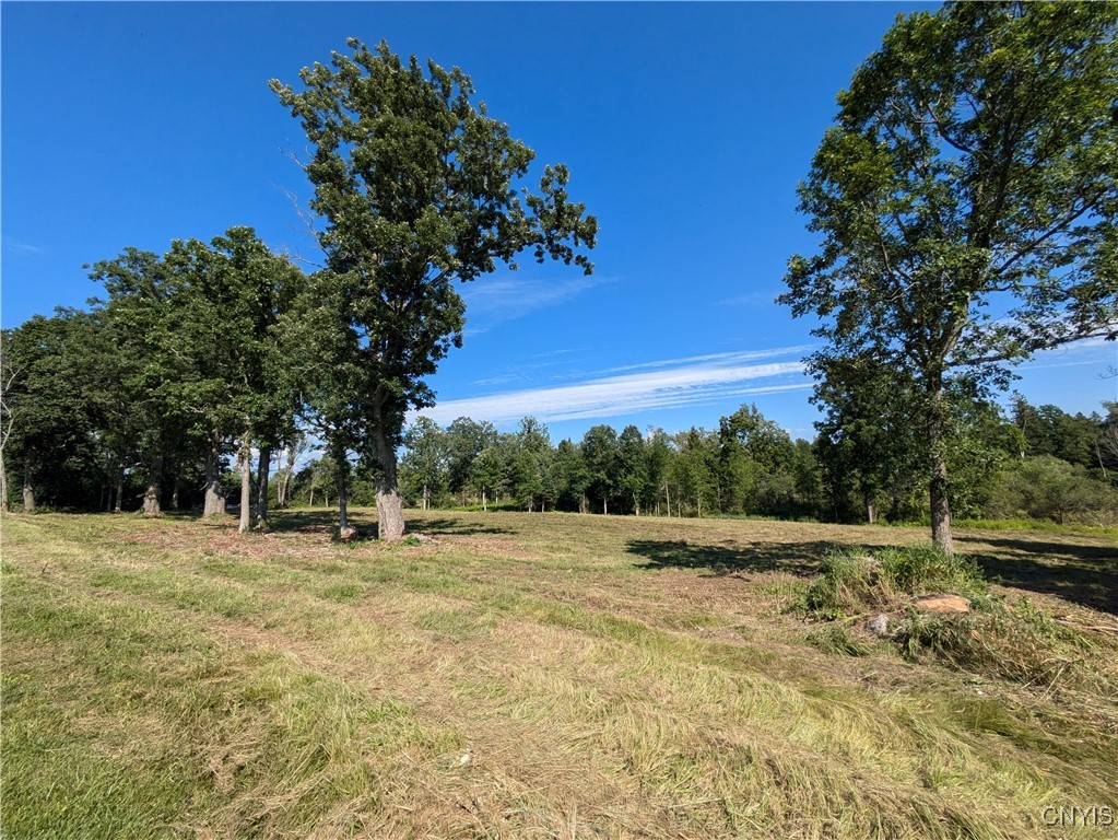 Lot #1 County Route 5, Clayton, New York image 2