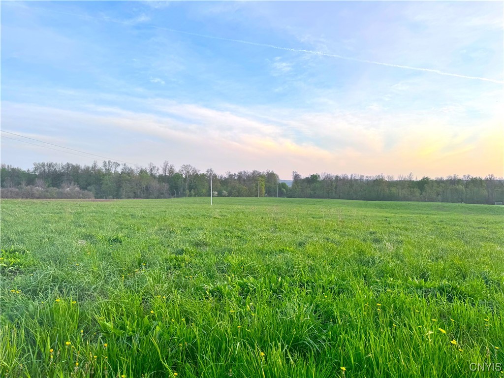 Mallory Road, New Hartford, New York image 2