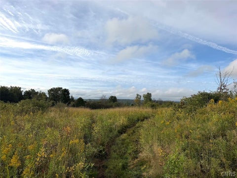 Slider Thumb