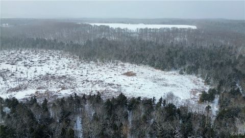 Photo of 451 Tamarac Road, Oxford, NY 13830 (MLS # S1660457)