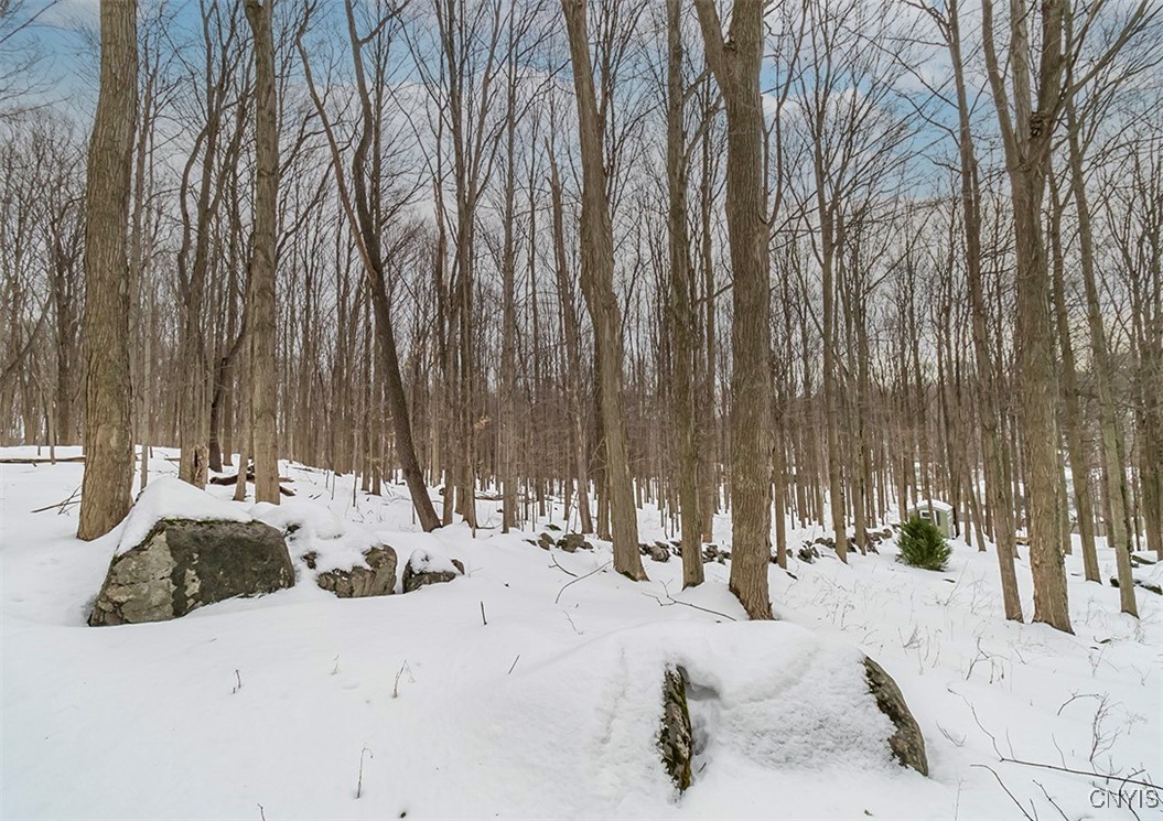 4654 Post Road, Manlius, New York image 45
