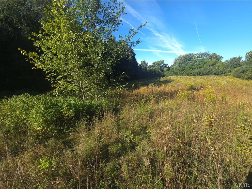 Photo of 885 Kibby Road, Lysander, NY 13027 (MLS # S1714241)