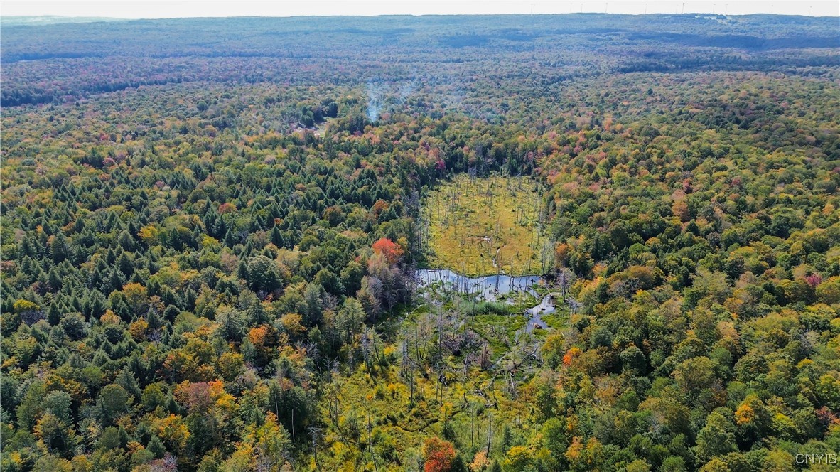 999 Jerseyfield Road