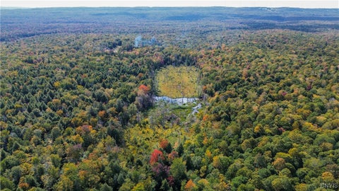 Vacant Land For Sale - 999 Jerseyfield Road<br/> Salisbury, NY 13365