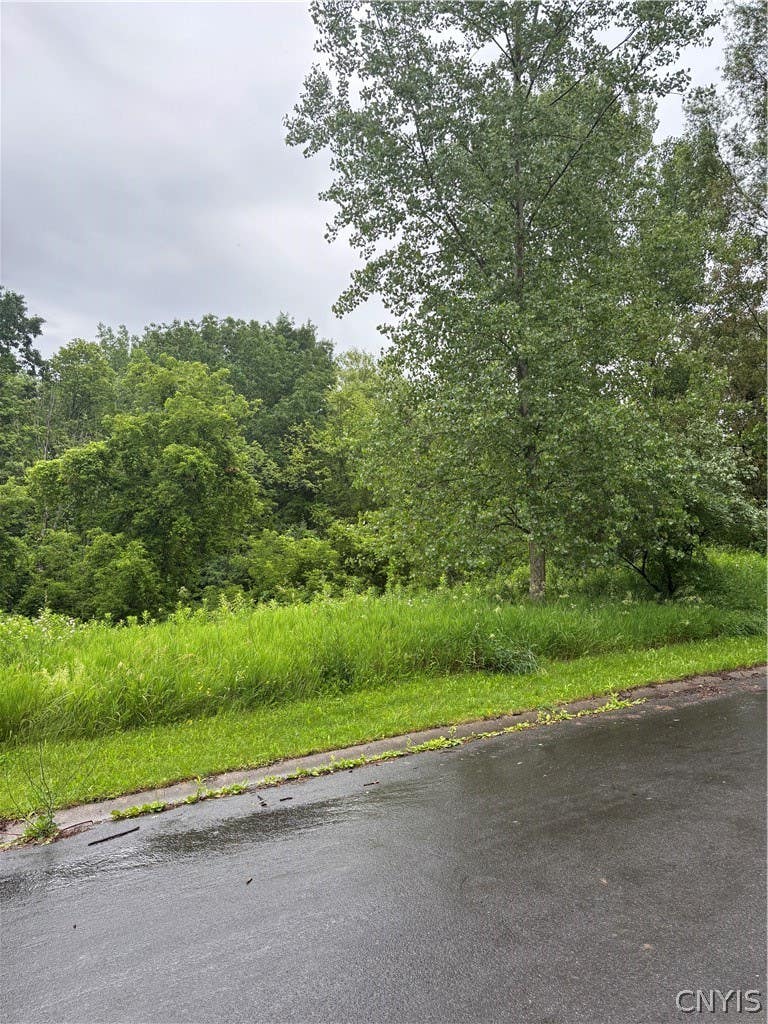 Photo of 7985 Everglades Drive, Manlius, NY 13104 (MLS # S1694292)