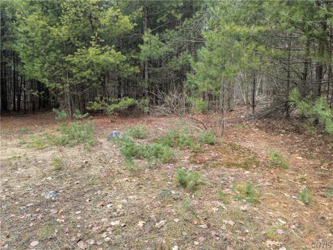 Photo for 7131 Maple Drive