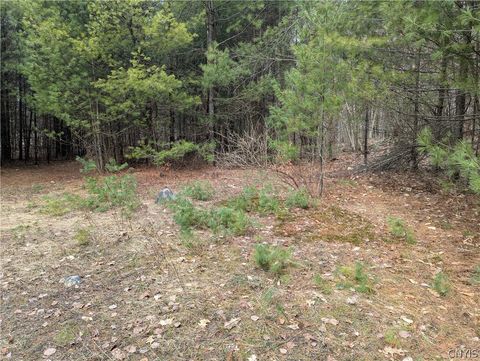 7131 Maple Drive Glenfield NY 13343