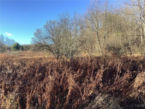 00 Blue Barneveld NY 13304