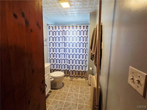 Tiny photo for 98 Franklin Street #Lower, Auburn, NY 13021 (MLS # S1655277)