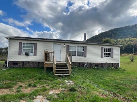 24 Hillview Road Spencer NY 14883