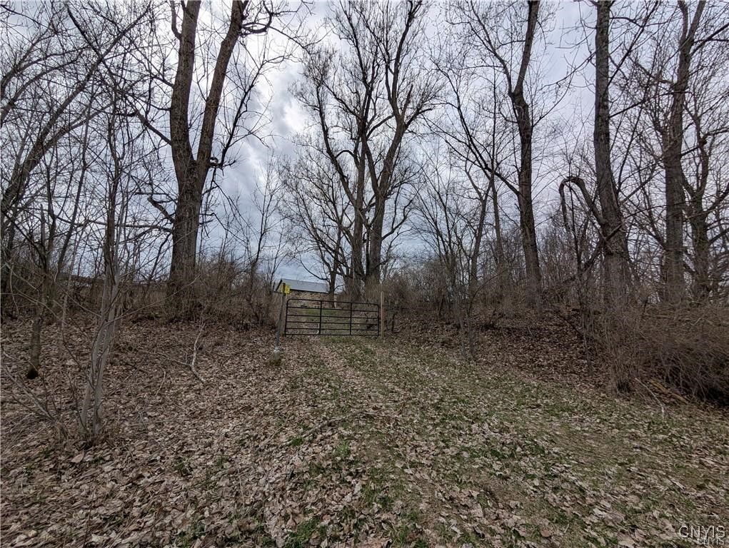 407 County Road 3