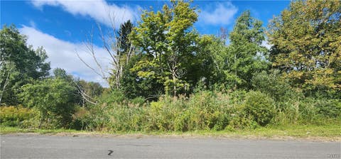 Photo for 6567 Mallory Road
