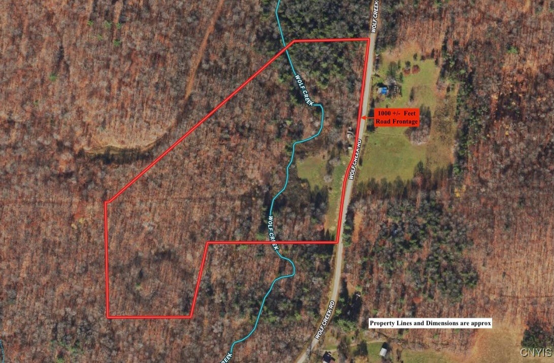 Wolf Creek Road, Clarksville, New York image 2
