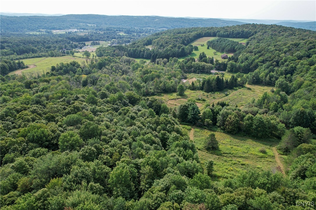 10061 Babcock Road, Brookfield, New York image 13