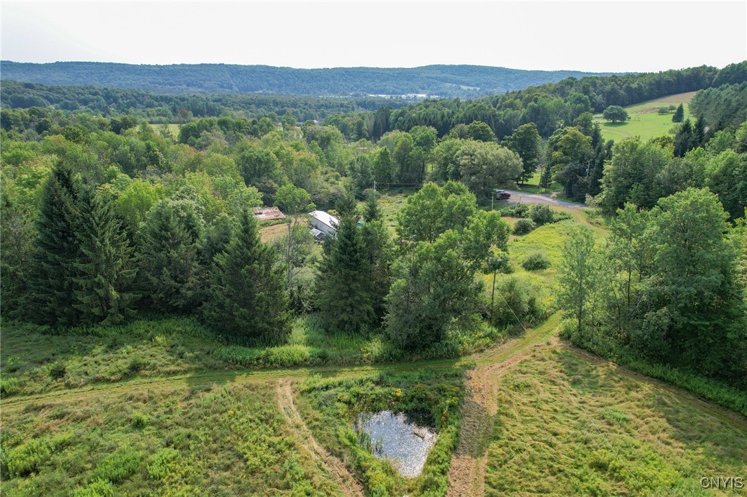 10061 Babcock Road, Brookfield, New York image 31