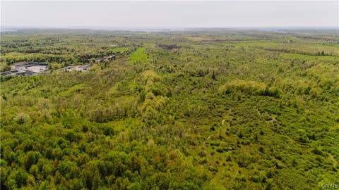Tiny photo for 5485 State Route 12E, Cape Vincent, NY 13618 (MLS # S1680404)