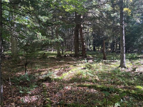 Photo of Moehs Road, Webb, NY 13420 (MLS # S1639232)