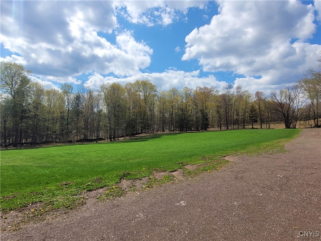 177 Woodchuck Run, Jefferson, New York image 17