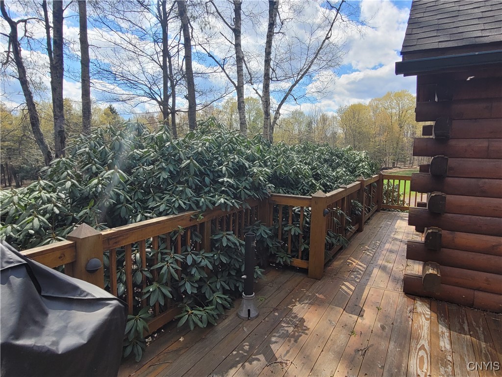 177 Woodchuck Run, Jefferson, New York image 13