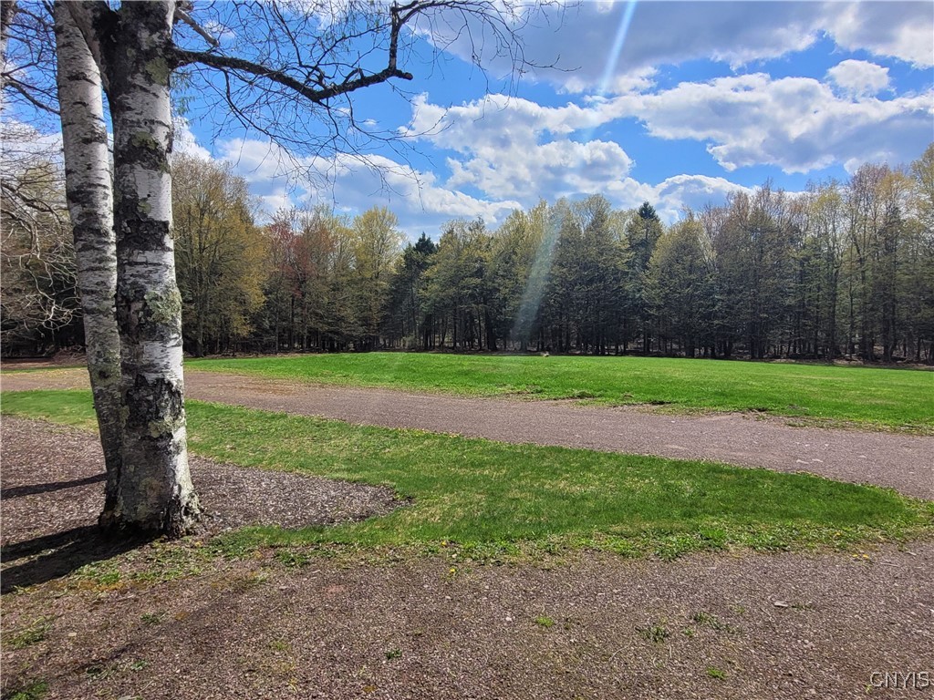 177 Woodchuck Run, Jefferson, New York image 16