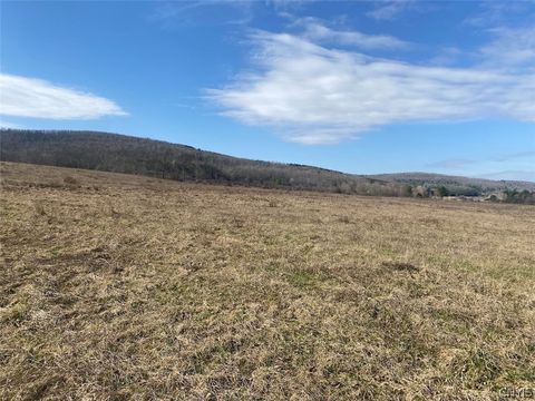 Vacant Land For Sale - 4005 Cr-2<br/> Allegany County, Angelica, NY 14709