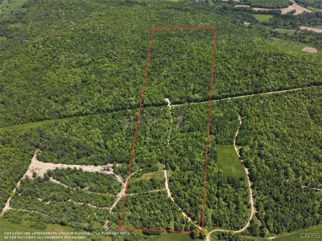 Photo 1 of 36 — River Road, Amity, NY 14813