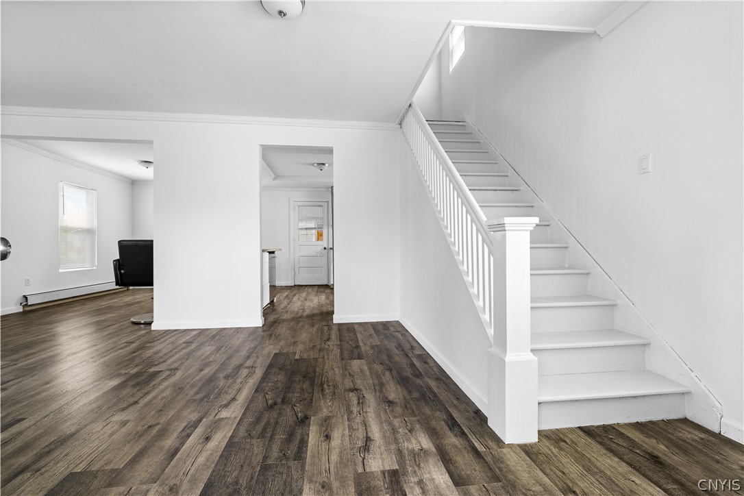 316 Steuben Street