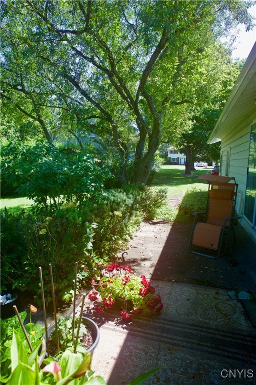 135 Harts Drive
