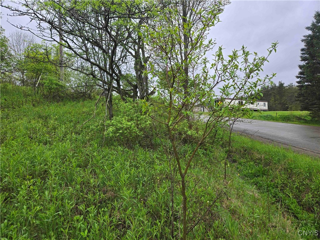 Mead Hollow Road, Bolivar, New York image 15