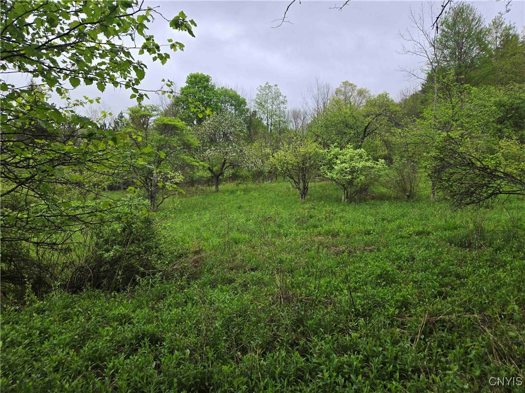 Mead Hollow Road, Bolivar, New York image 3
