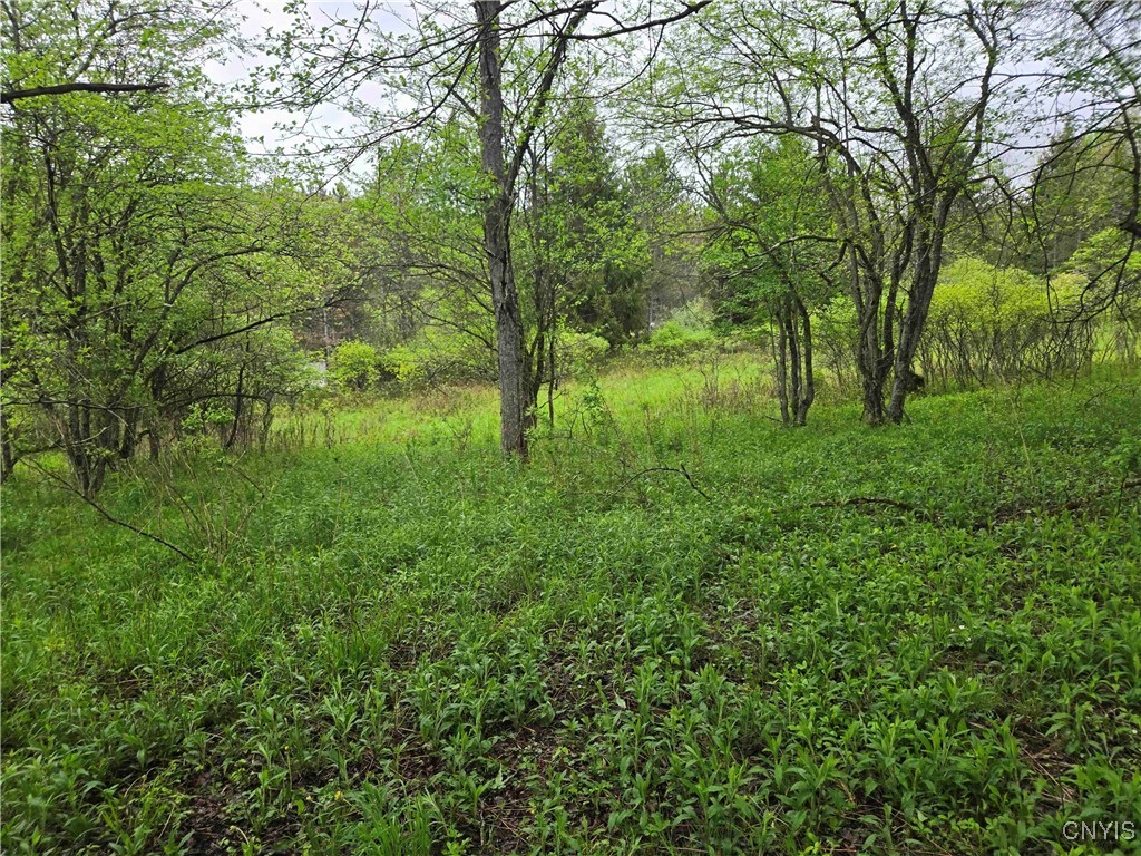 Mead Hollow Road, Bolivar, New York image 4