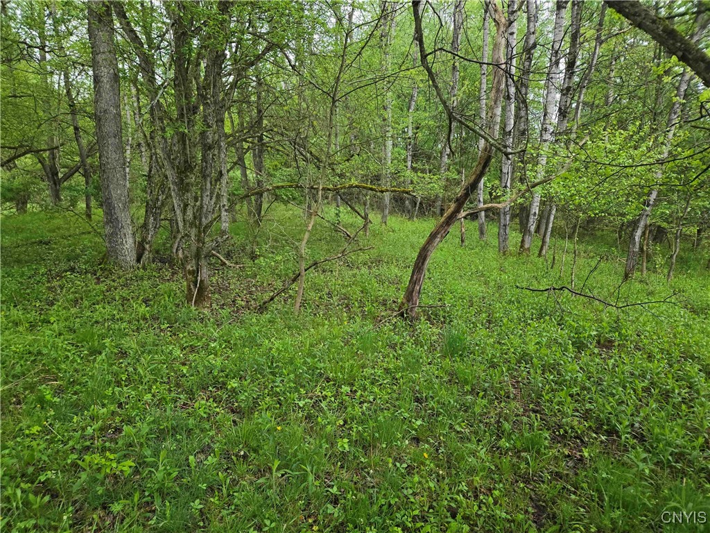 Mead Hollow Road, Bolivar, New York image 10
