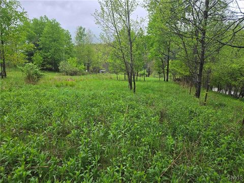 Vacant Land For Sale - Mead Hollow Road<br/> Allegany County, Bolivar, NY 14754