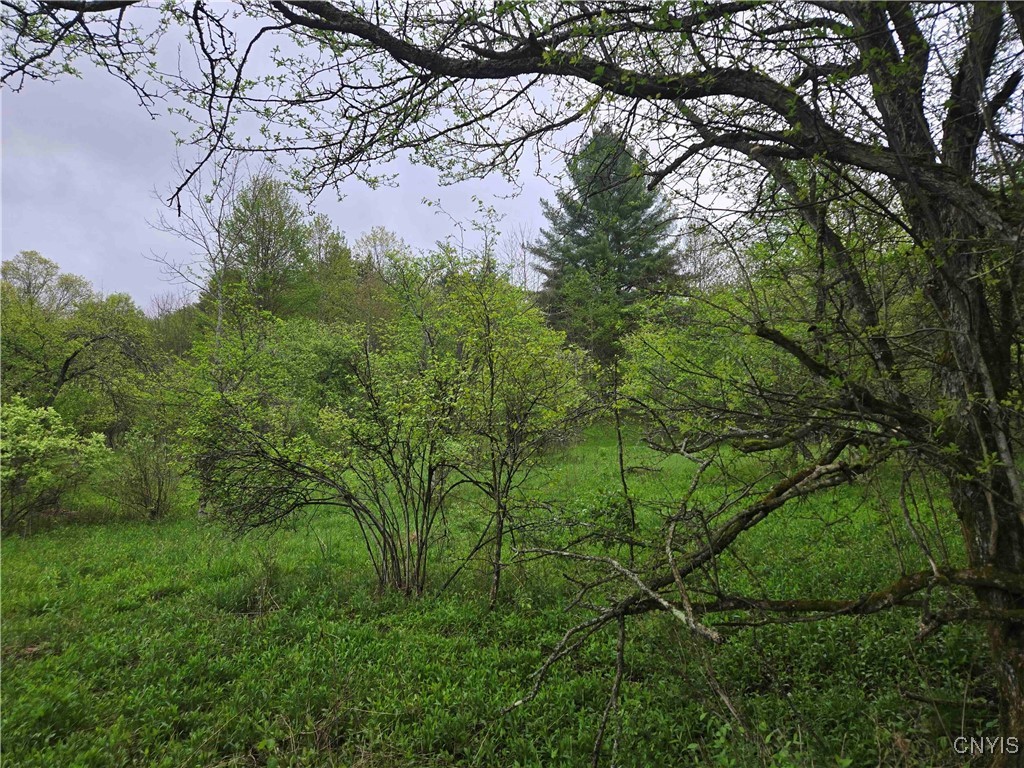 Mead Hollow Road, Bolivar, New York image 11