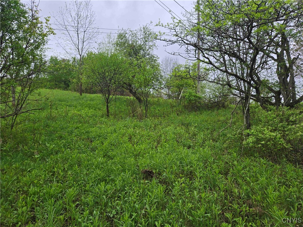 Mead Hollow Road, Bolivar, New York image 7