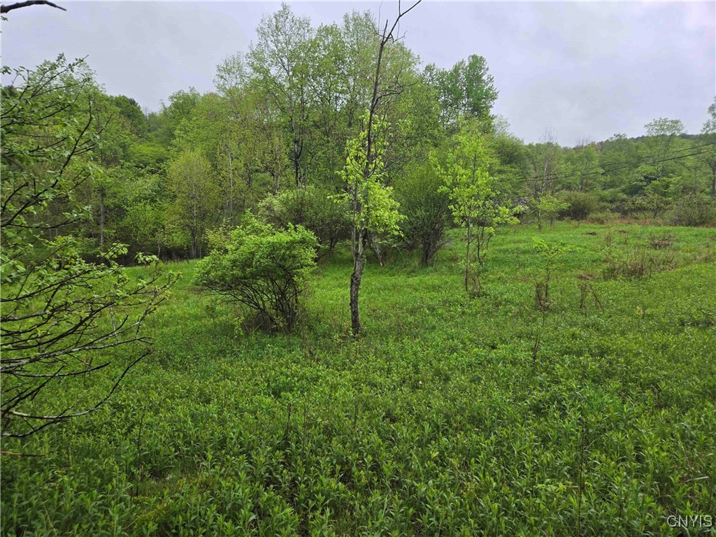 Mead Hollow Road, Bolivar, New York image 8