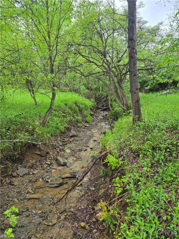 Mead Hollow Road, Bolivar, New York image 5