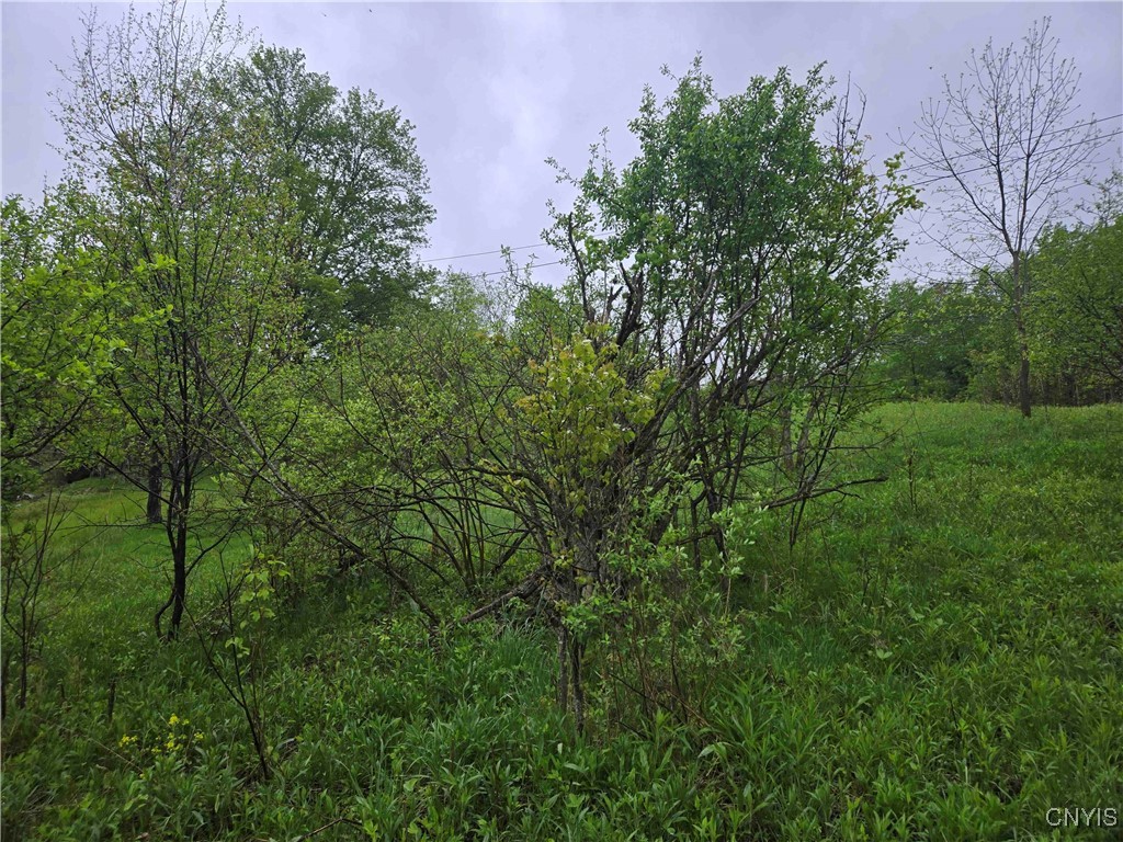 Mead Hollow Road, Bolivar, New York image 14