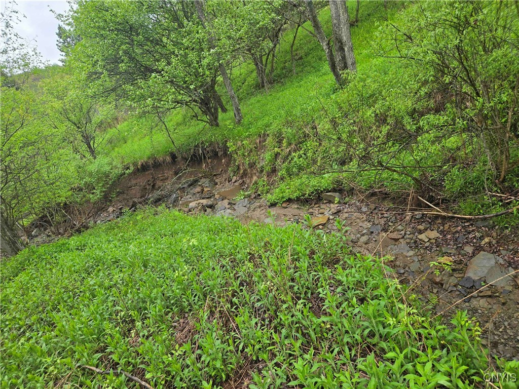 Mead Hollow Road, Bolivar, New York image 9